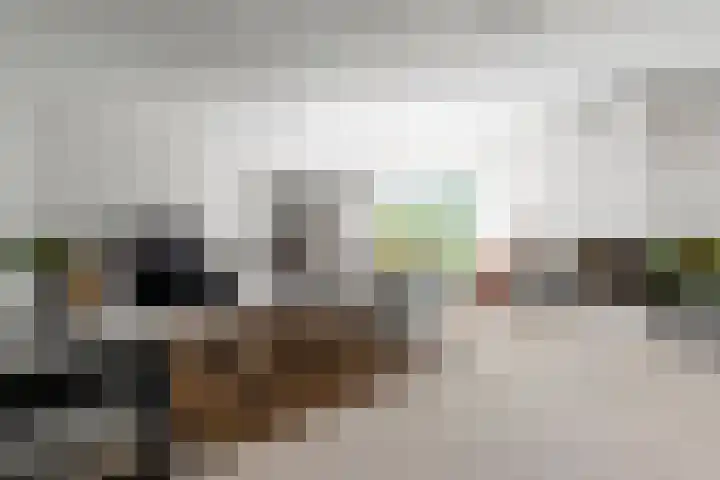 Griend 1 Heemskerk thumbnail 8
