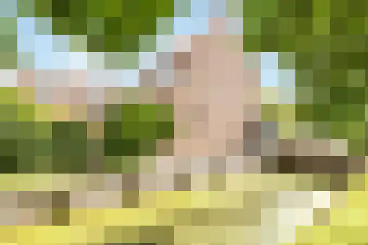 Griend 1 Huizen thumbnail 26