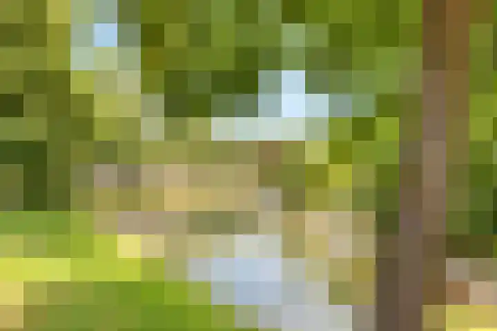 Griend 1 Huizen thumbnail 27