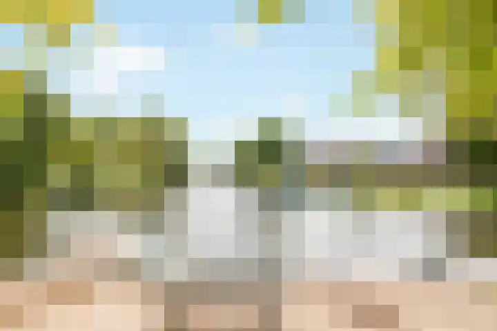 Griend 1 Huizen thumbnail 29