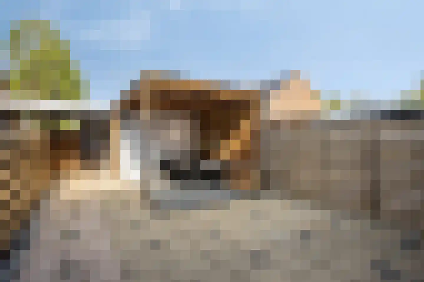 Griend 10 Elst thumbnail 30