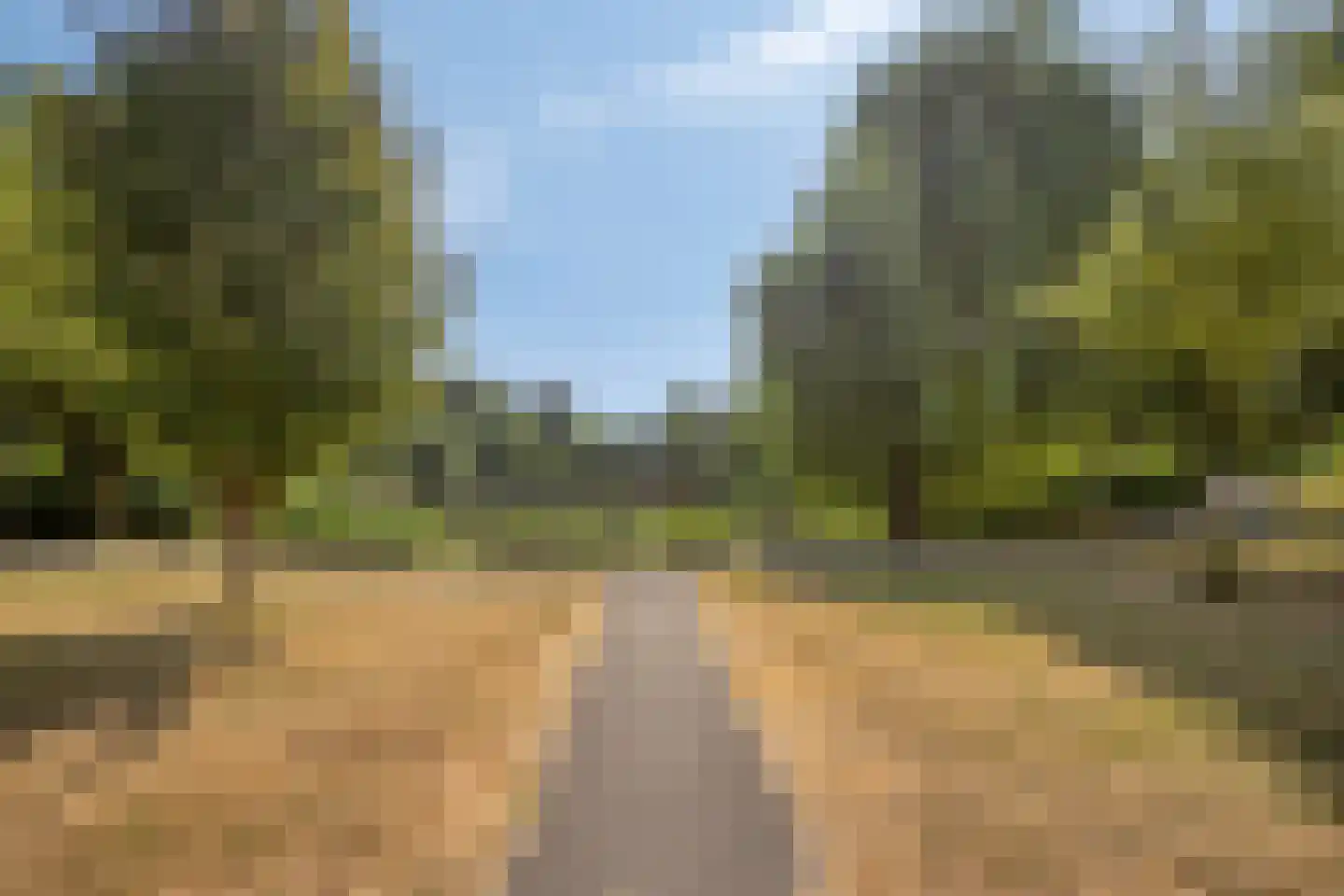 Griend 10 Elst thumbnail 35
