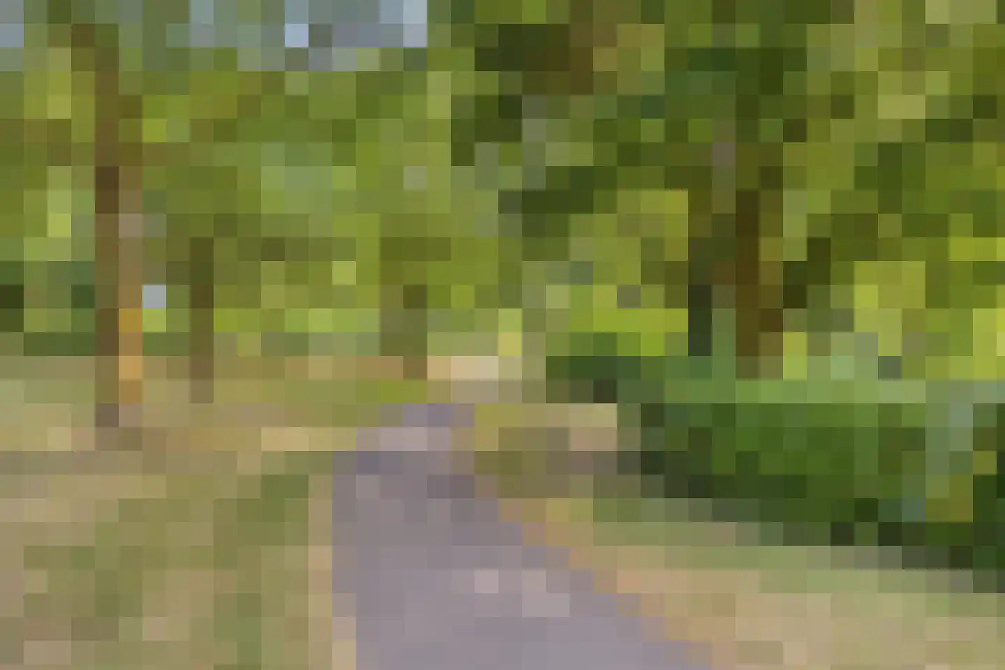 Griend 10 Elst thumbnail 36