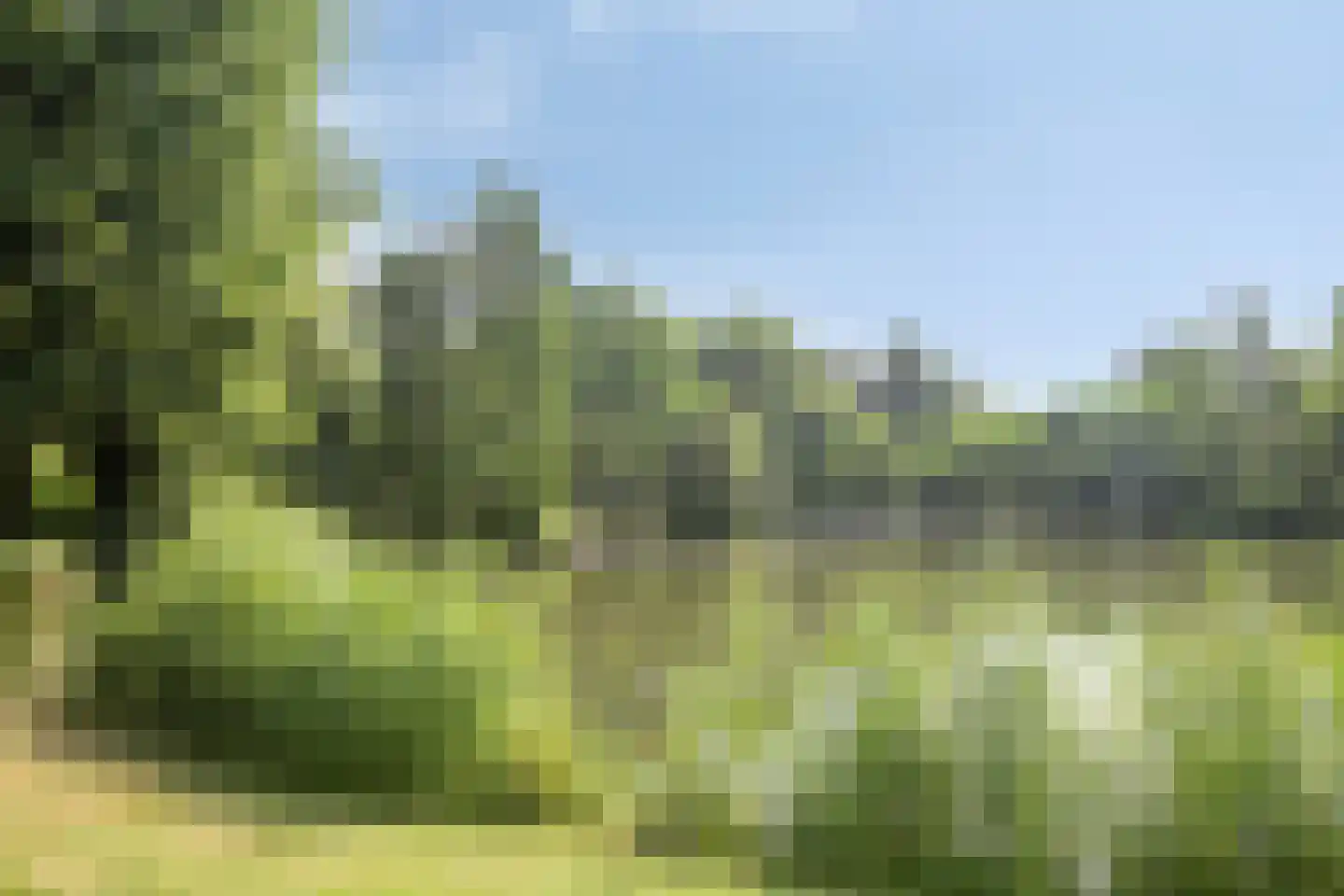 Griend 10 Elst thumbnail 4