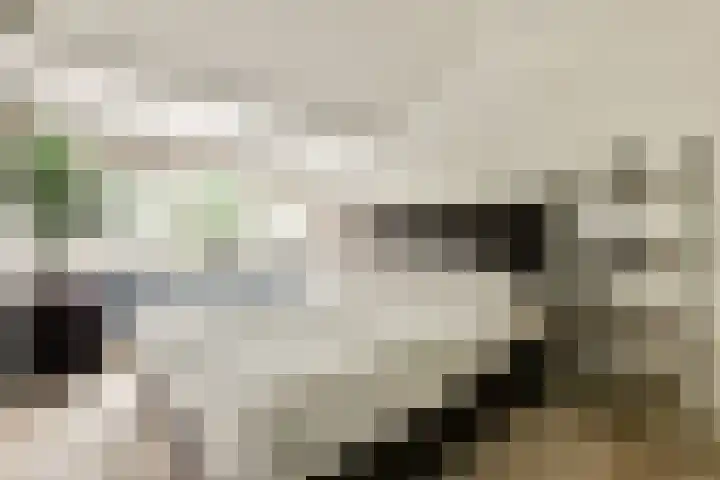 Griend 107 Diemen thumbnail 15