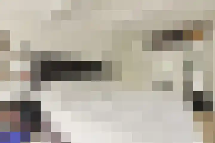 Griend 107 Diemen thumbnail 16