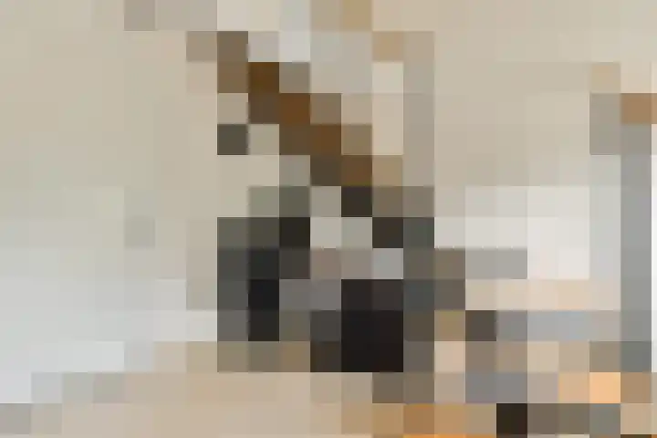 Griend 107 Diemen thumbnail 23