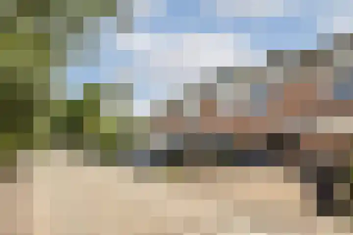 Griend 107 Diemen thumbnail 27