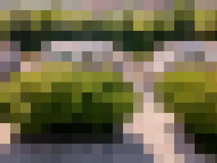 Griend 11 11 21 Lelystad thumbnail 50