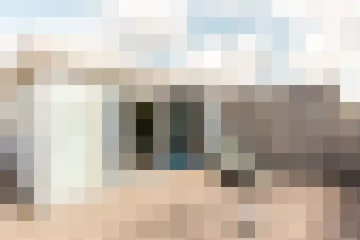 Griend 11 21 Lelystad thumbnail 37