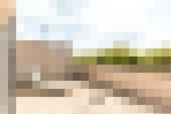 Griend 11 21 Lelystad thumbnail 39