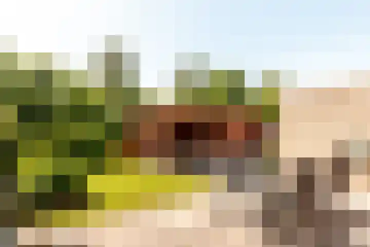Griend 11 21 Lelystad thumbnail 44