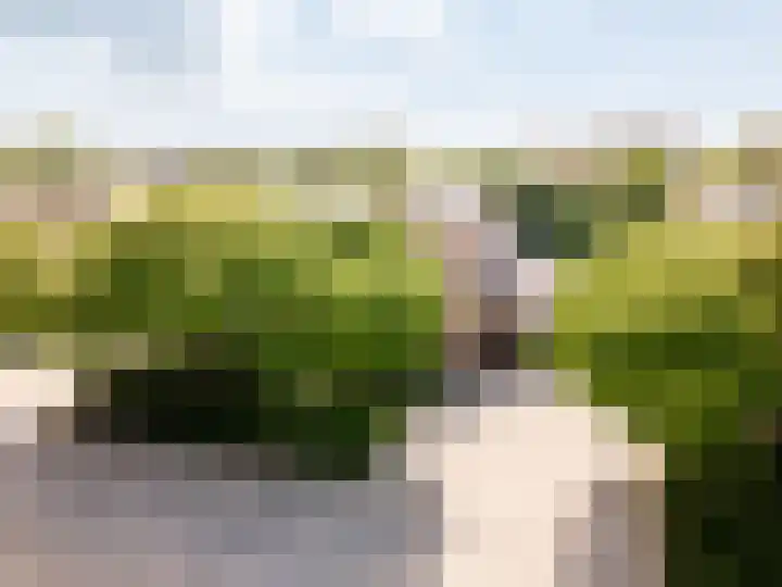 Griend 11 21 Lelystad thumbnail 47