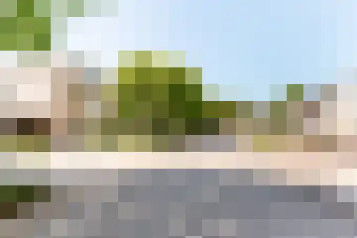 Griend 11 21 Lelystad thumbnail 48
