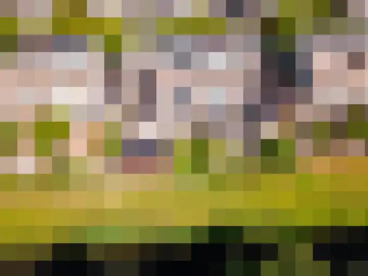 Griend 11 21 Lelystad thumbnail 51