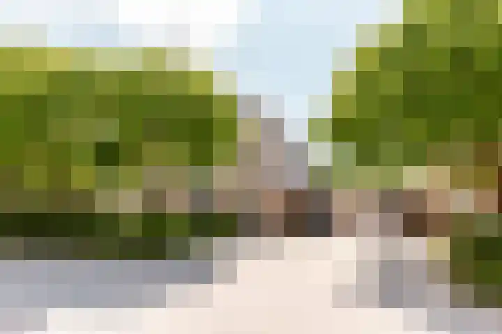 Griend 11 21 Lelystad thumbnail 6
