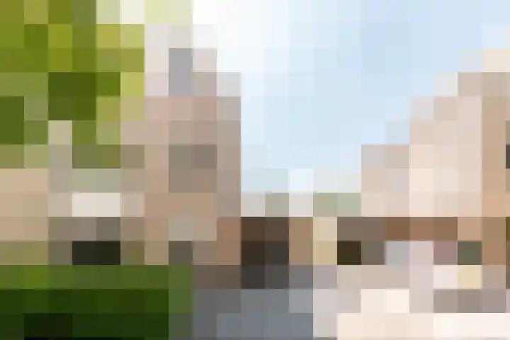 Griend 11 21 Lelystad thumbnail 7