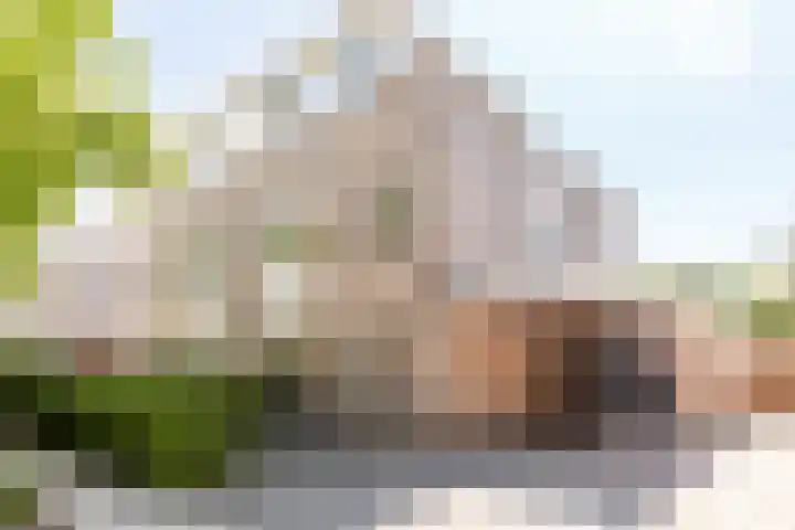 Griend 11 21 Lelystad thumbnail 8