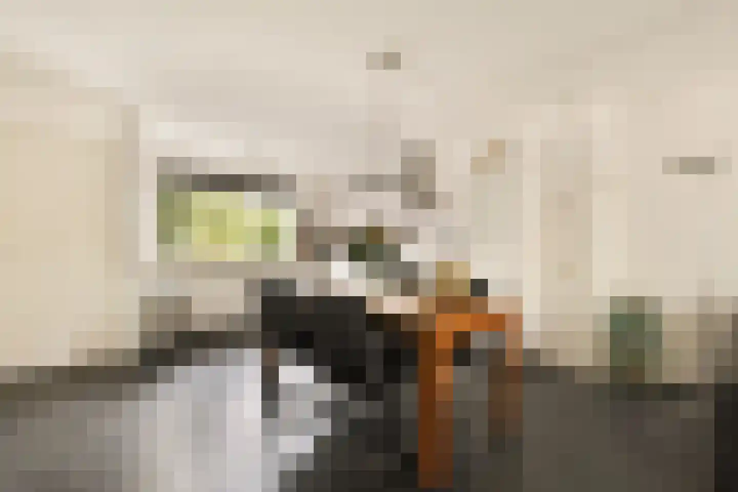 Griend 115 Diemen thumbnail 7