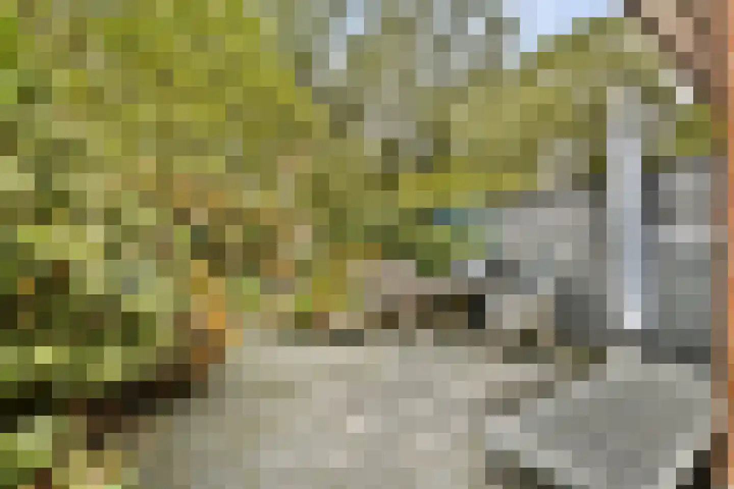 Griend 115 Diemen thumbnail 8