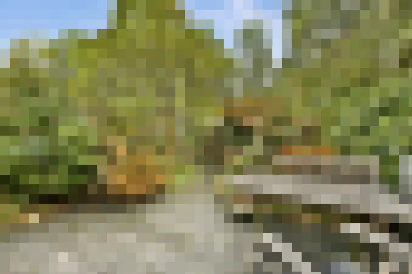 Griend 115 Diemen thumbnail 9