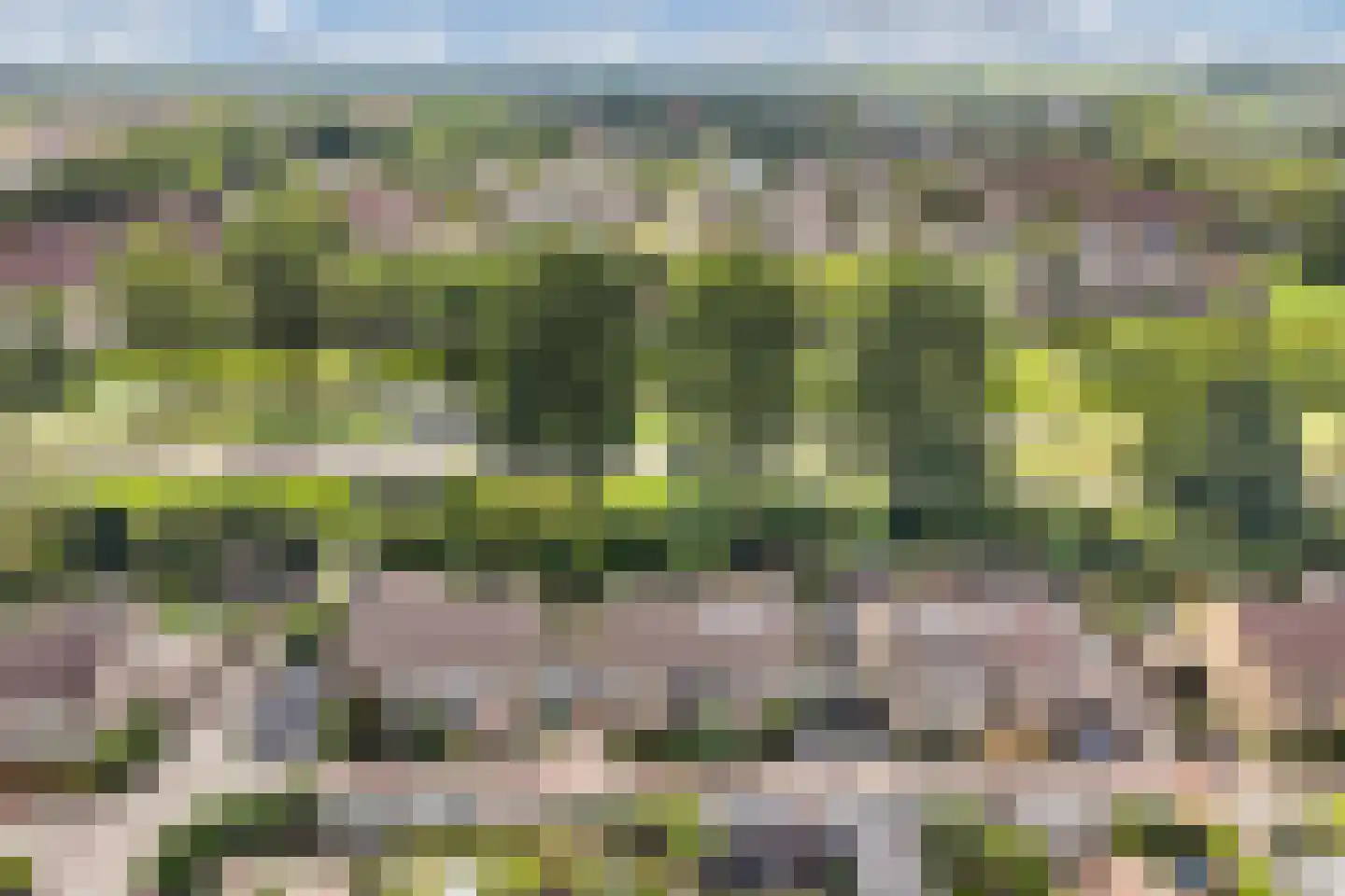 Griend 12 20 Lelystad thumbnail 11