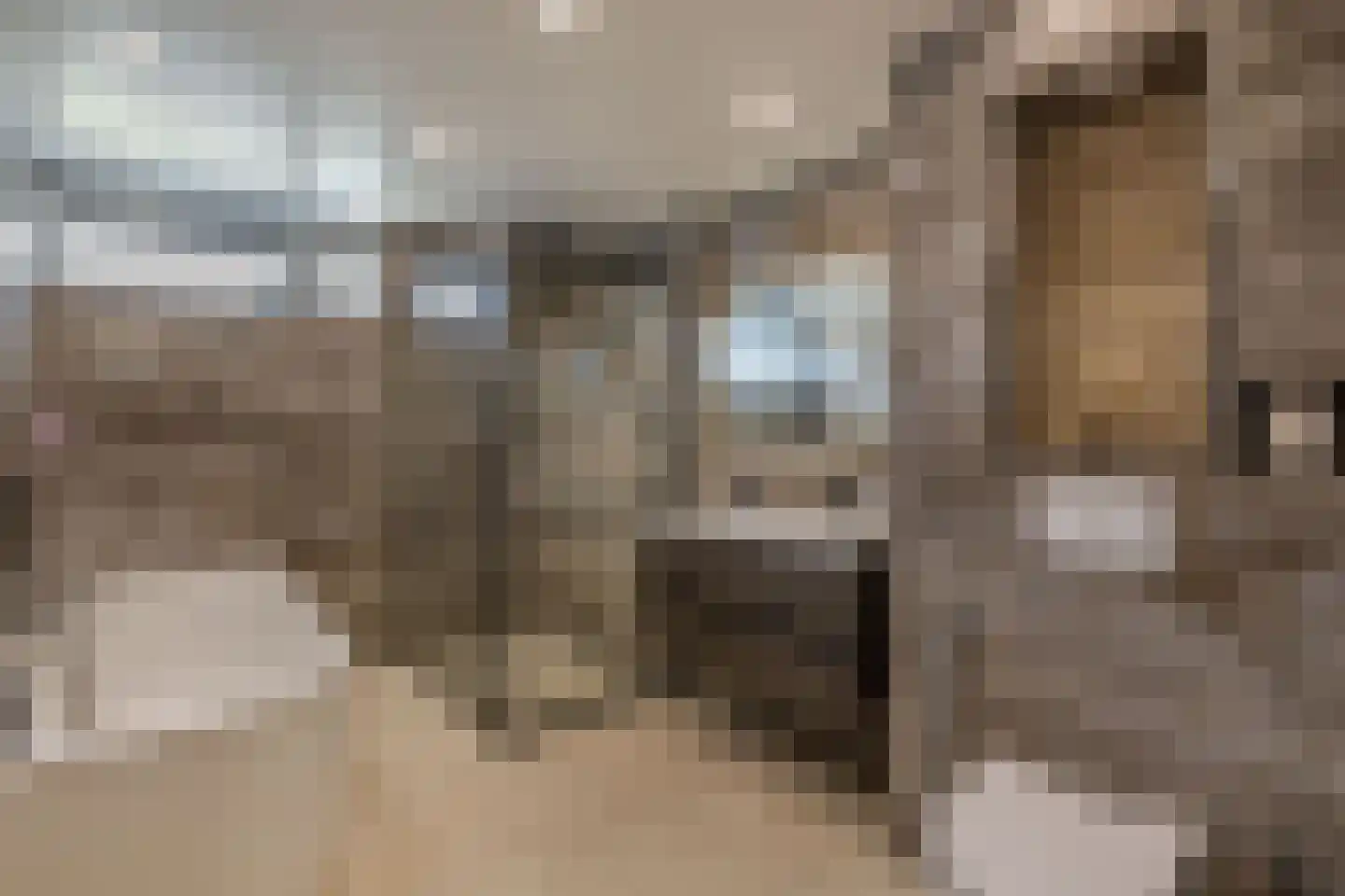 Griend 12 20 Lelystad thumbnail 37