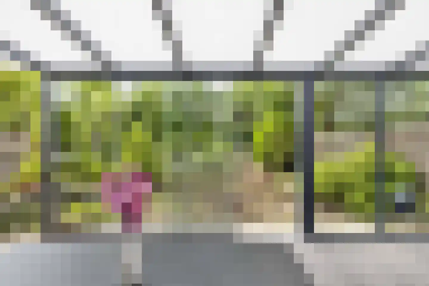 Griend 12 20 Lelystad thumbnail 44