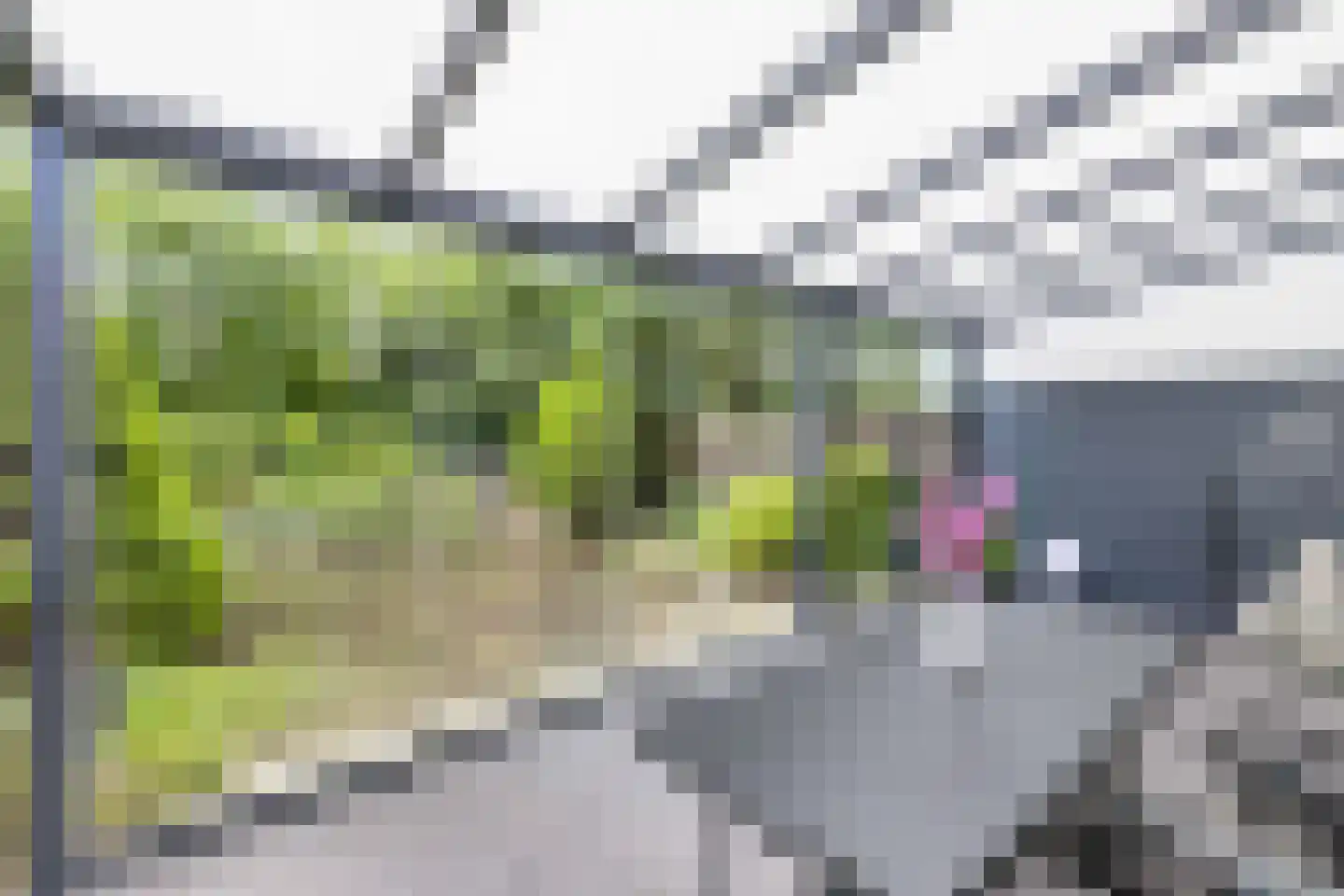 Griend 12 20 Lelystad thumbnail 46