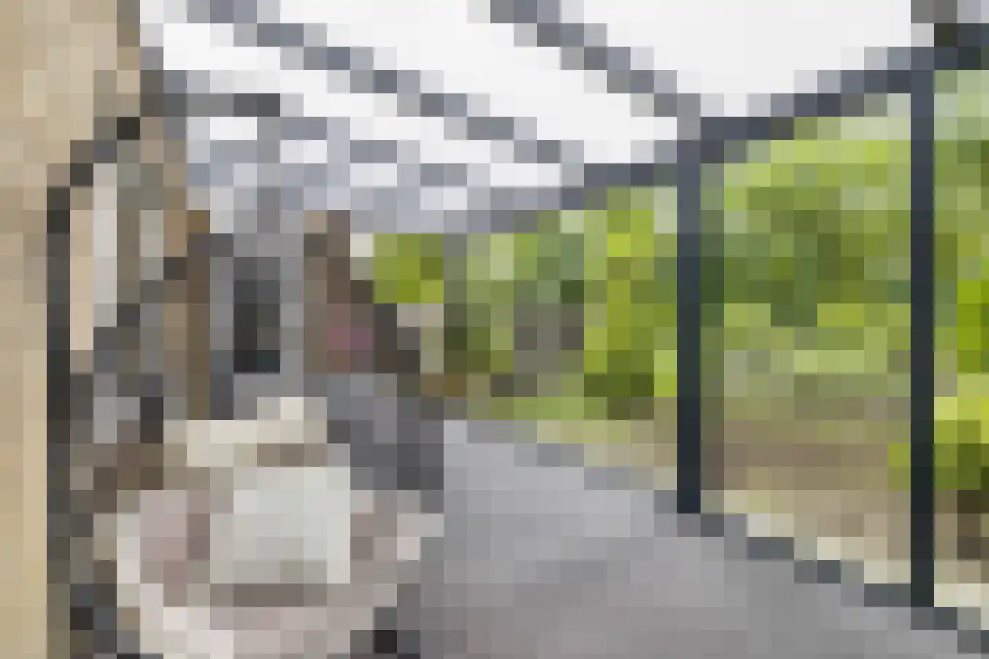 Griend 12 20 Lelystad thumbnail 47