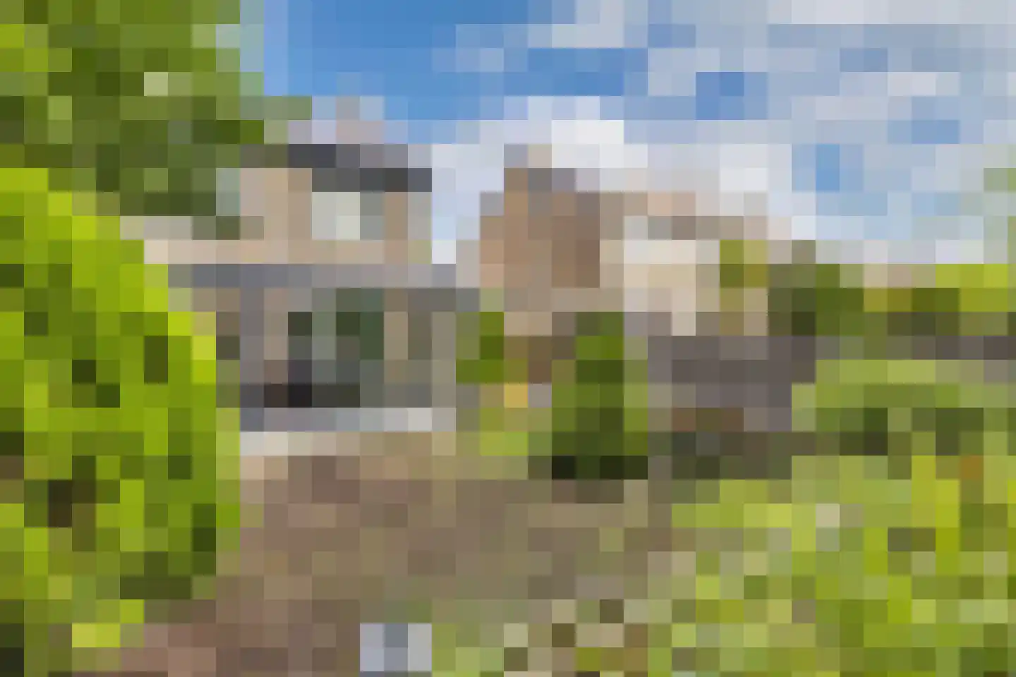 Griend 12 20 Lelystad thumbnail 49