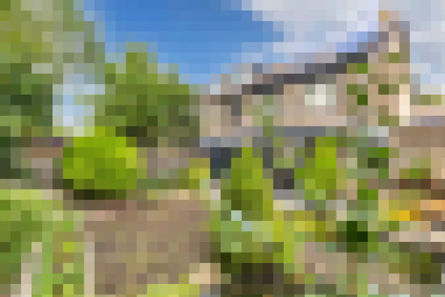 Griend 12 20 Lelystad thumbnail 50