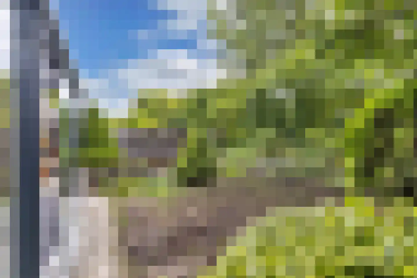 Griend 12 20 Lelystad thumbnail 51