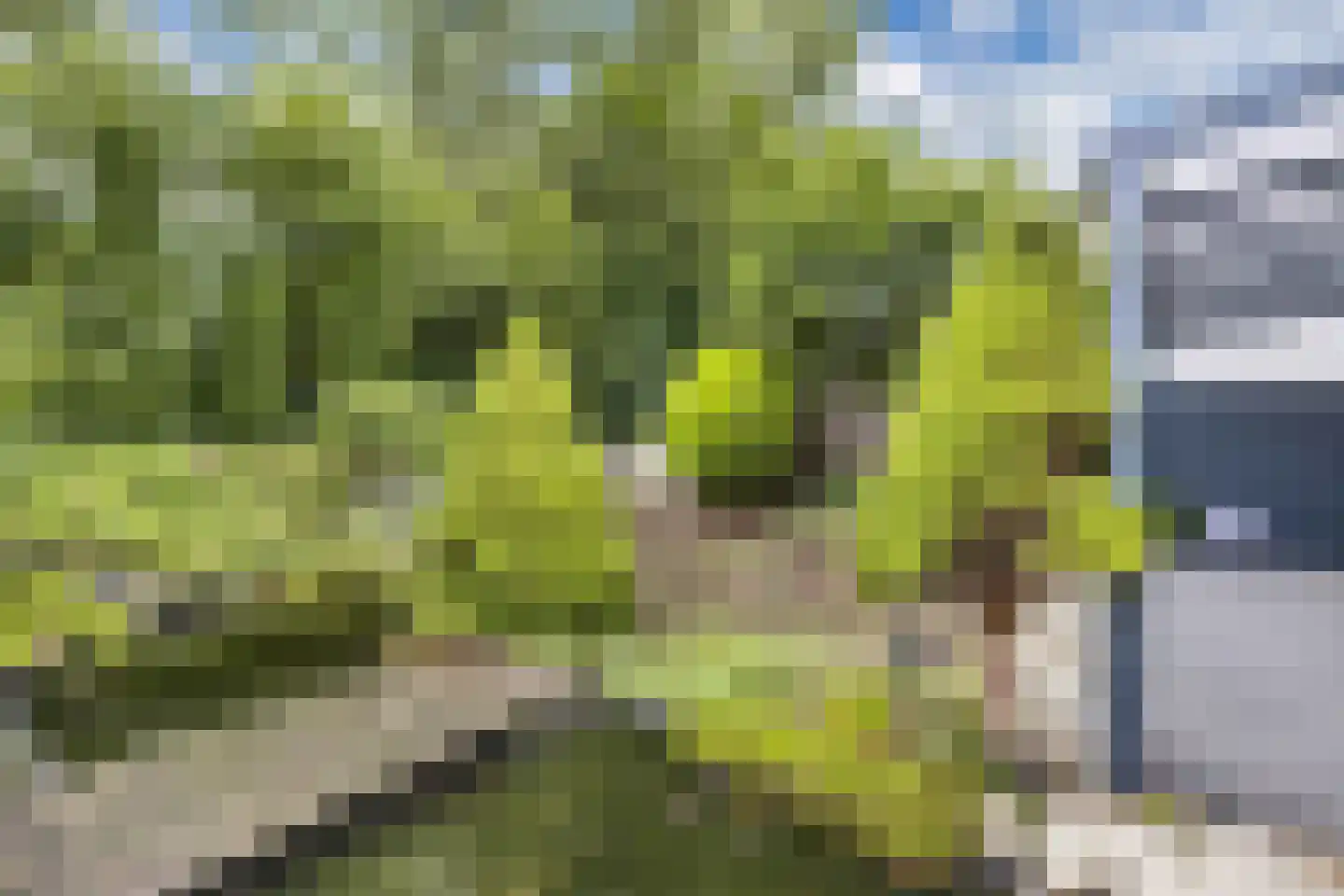 Griend 12 20 Lelystad thumbnail 52