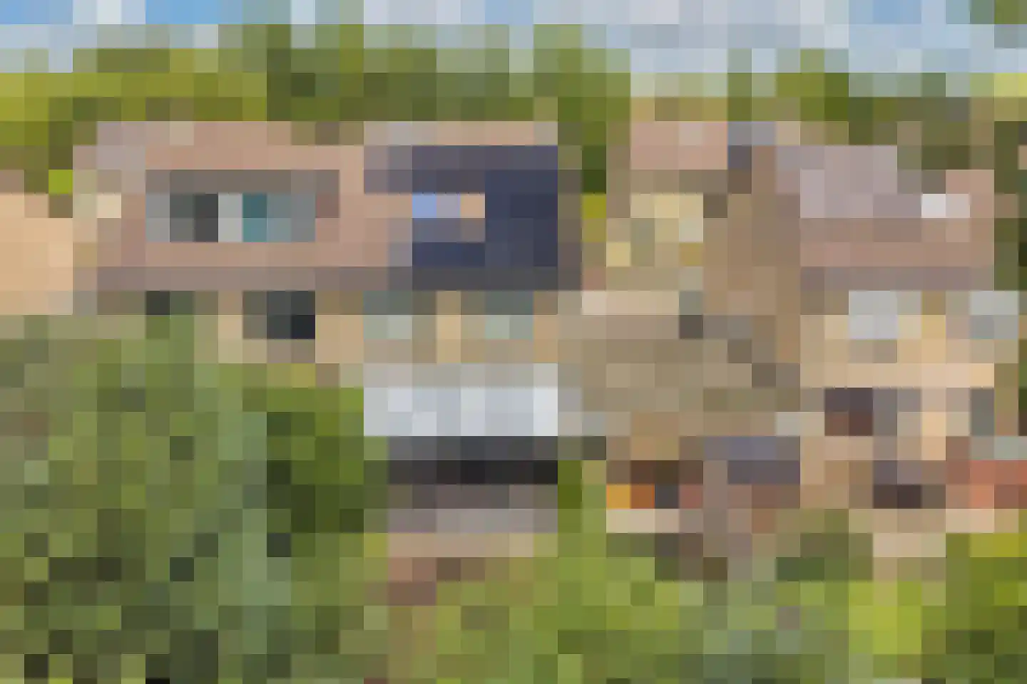 Griend 12 20 Lelystad thumbnail 53