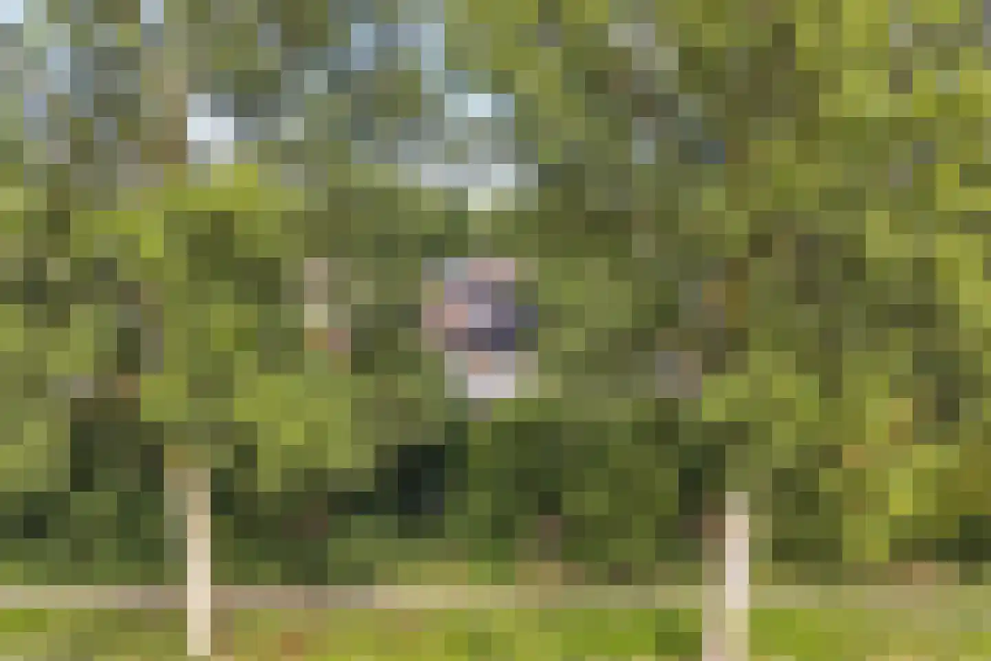Griend 12 20 Lelystad thumbnail 56