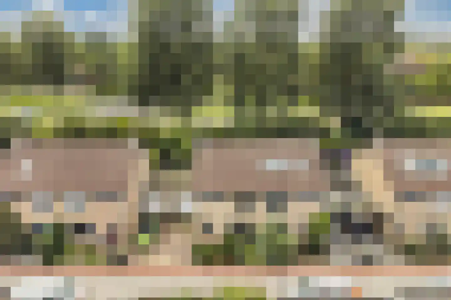 Griend 12 20 Lelystad thumbnail 6