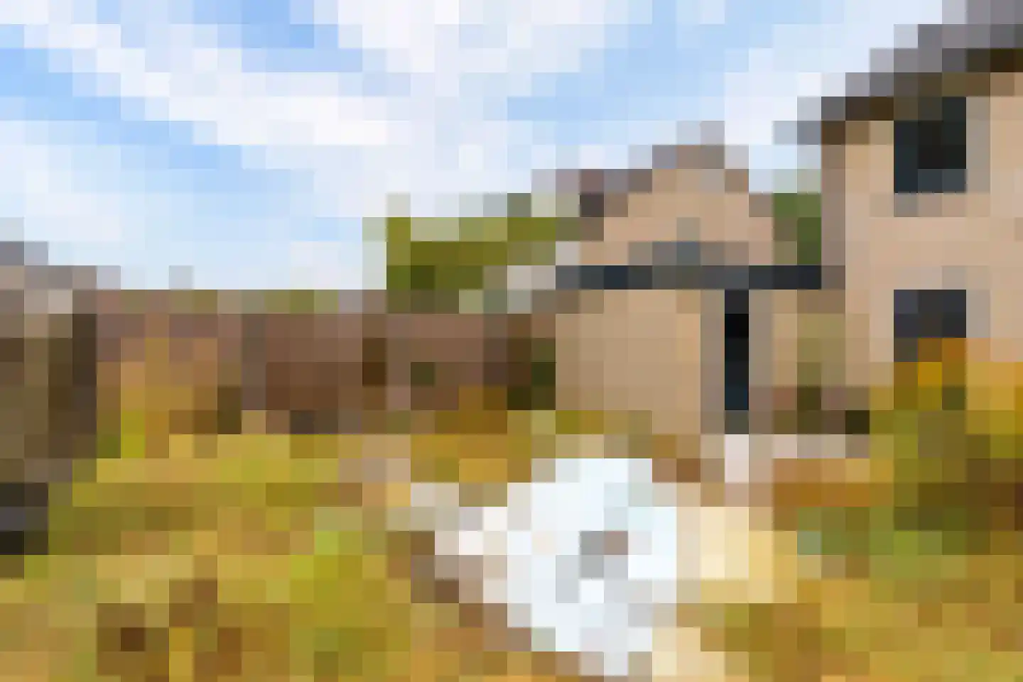 Griend 12 46 Lelystad thumbnail 33