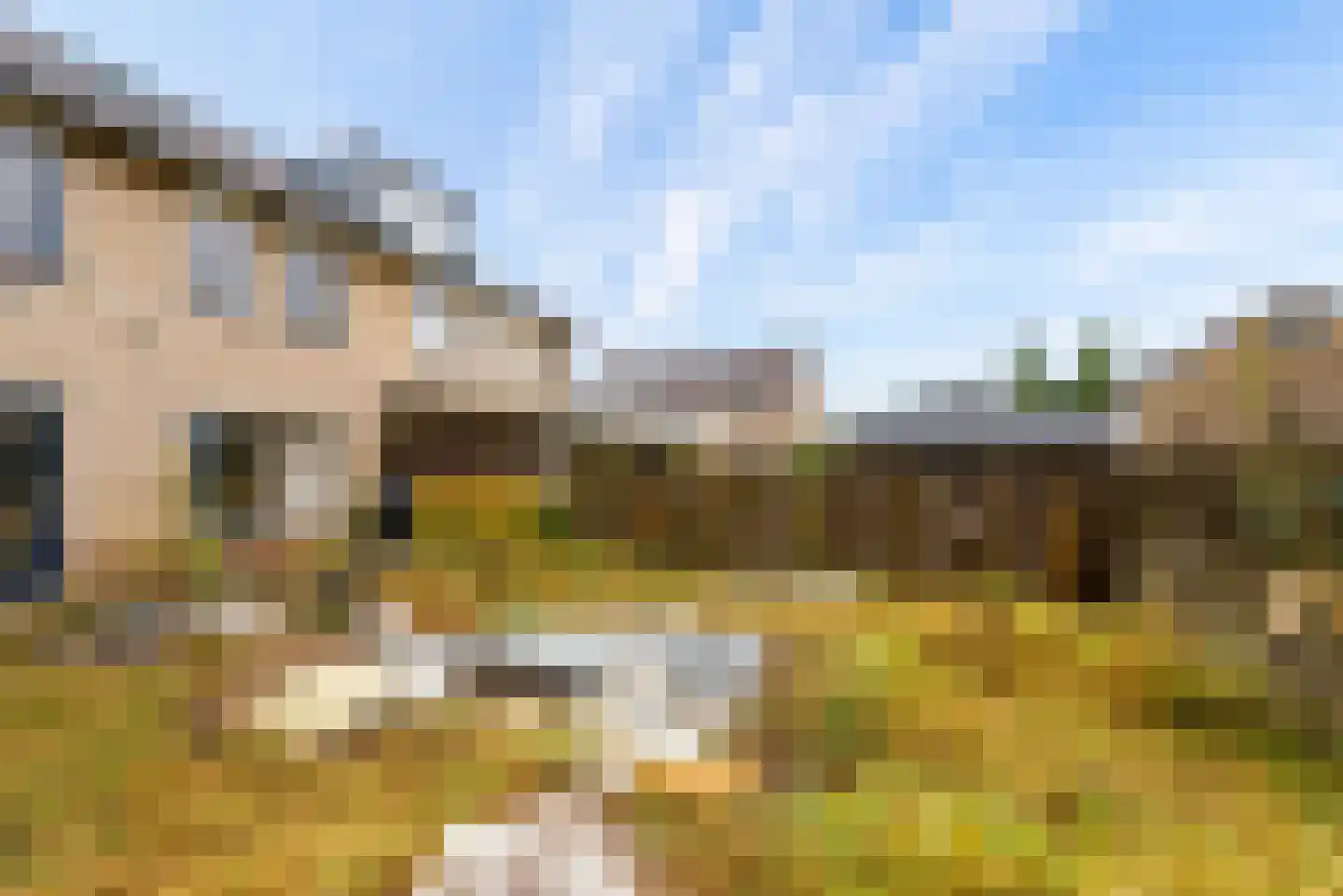 Griend 12 46 Lelystad thumbnail 34