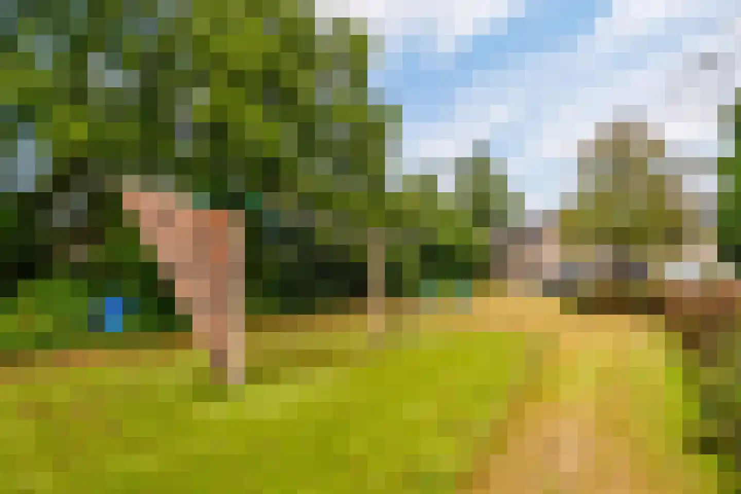 Griend 12 46 Lelystad thumbnail 37