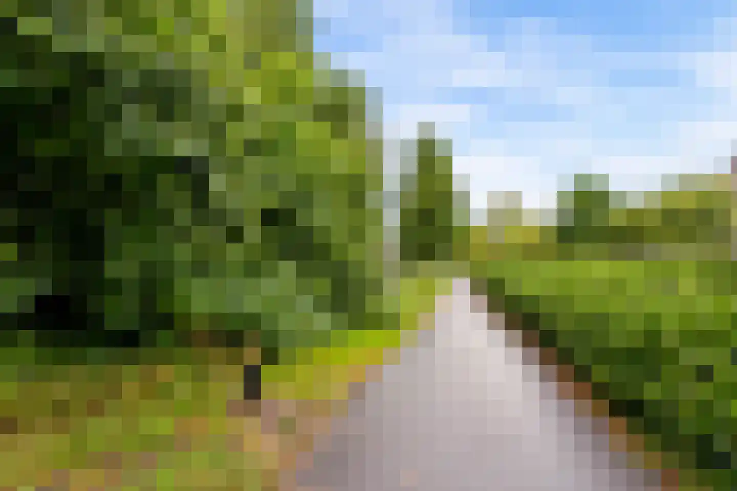 Griend 12 46 Lelystad thumbnail 38