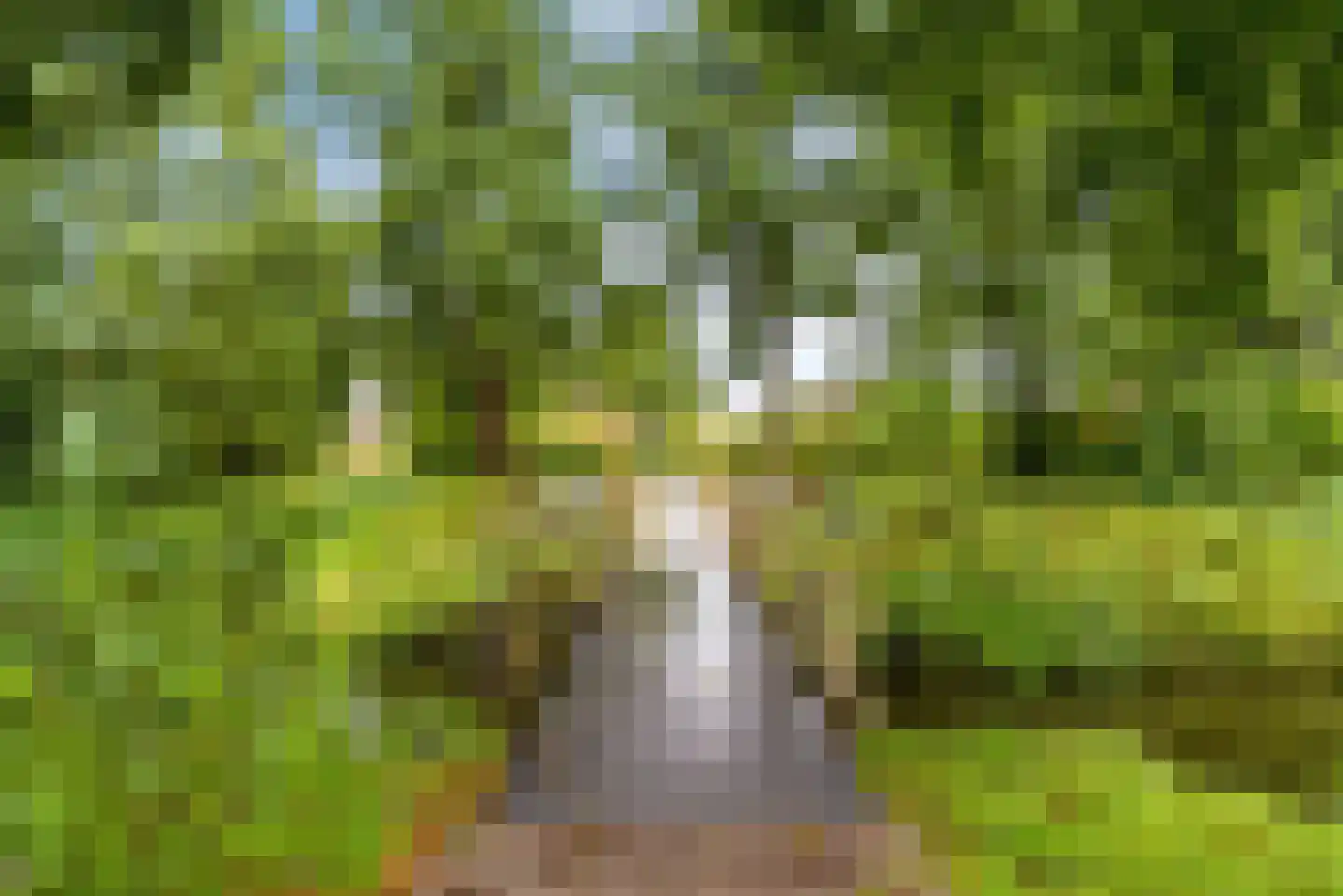 Griend 12 46 Lelystad thumbnail 39