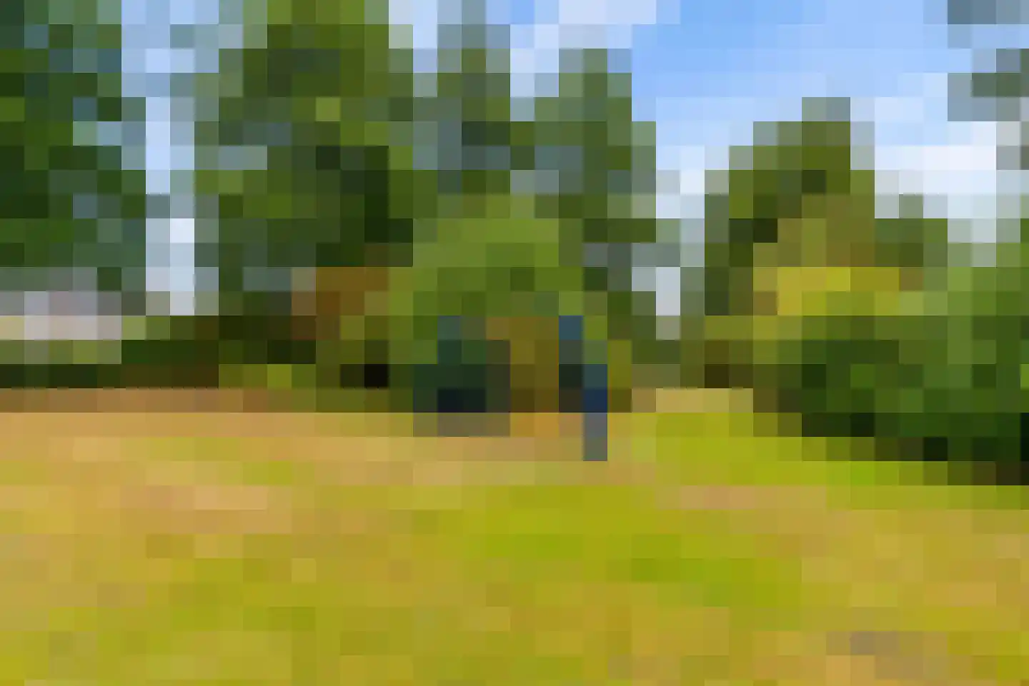 Griend 12 46 Lelystad thumbnail 41