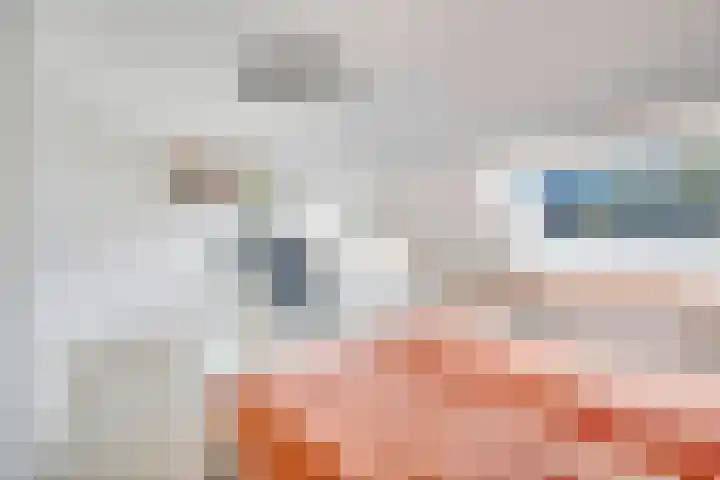 Griend 12 Brielle thumbnail 19