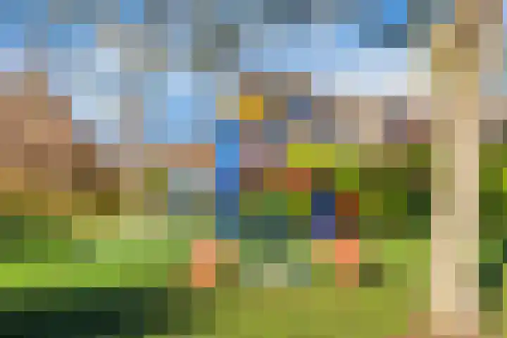 Griend 12 Brielle thumbnail 30
