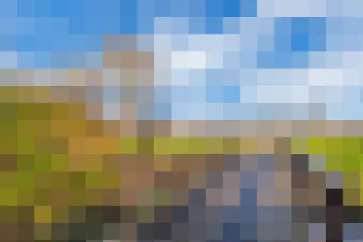 Griend 12 Brielle thumbnail 31