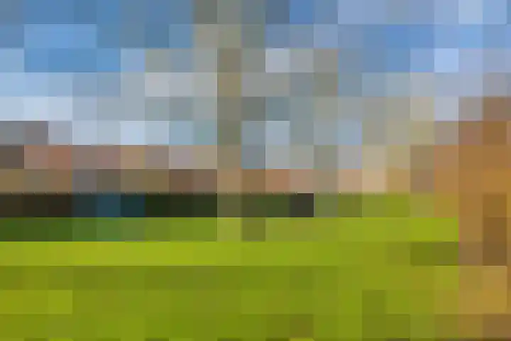 Griend 12 Brielle thumbnail 32