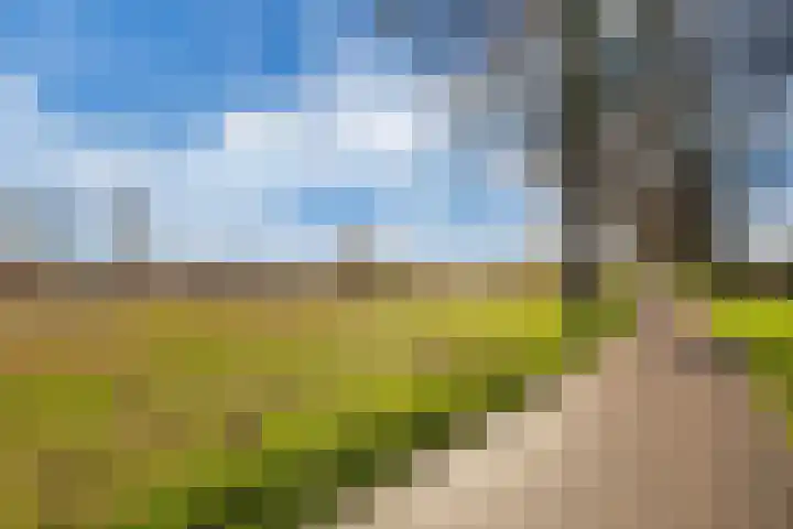Griend 12 Brielle thumbnail 33