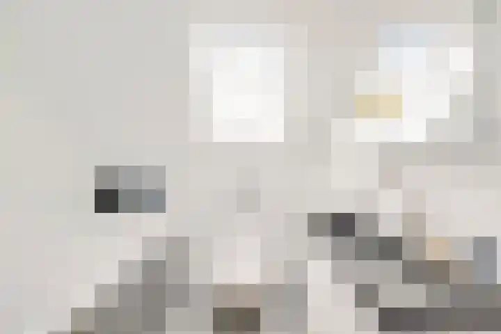 Griend 12 Brielle thumbnail 4