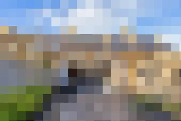 Griend 12 Brielle thumbnail 5